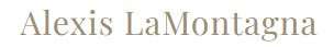 Agent company logo