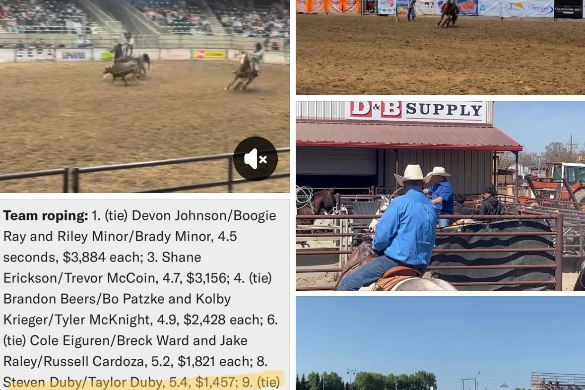 22 of 36. Muffin, 1D Barrel and Rodeo horse, PRCA Head horse