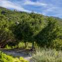 475 Stunt Road, Calabasas, CA
