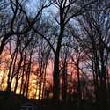 108 Viewpoint Drive, Downingtown, PA