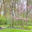 108 Viewpoint Drive, Downingtown, PA