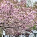 108 Viewpoint Drive, Downingtown, PA
