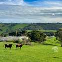 40 Twites Road, Bena, VIC
