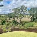 539 Lesesne Street, Daniel Island, SC
