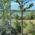 539 Lesesne Street, Daniel Island, SC