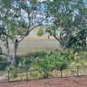 539 Lesesne Street, Daniel Island, SC
