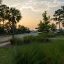 424 Wayfaring Point, Daniel Island, SC