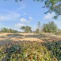 524 Park Crossing Street, Daniel Island, SC