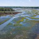 809 Roddin Street, Daniel Island, SC
