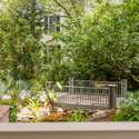 343 Ralston Creek Street, Daniel Island, SC