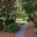 187 Ithecaw Creek Street, Daniel Island, SC