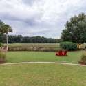 187 Ithecaw Creek Street, Daniel Island, SC