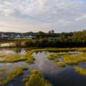 187 Ithecaw Creek Street, Daniel Island, SC