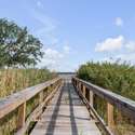 2423 S Bay Street, Georgetown, SC