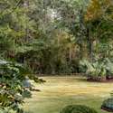 2423 S Bay Street, Georgetown, SC