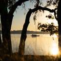 1555 Willtown Street, Daniel Island, SC