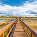 1527 Creek Side Way, Charleston, SC