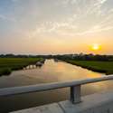 332 Bayley Road, Daniel Island, SC