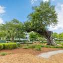 1331 Smythe Street, Daniel Island, SC