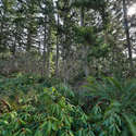 2579 Goss Lake Road, Langley, WA. Photo 56 of 76.