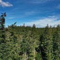 2579 Goss Lake Road, Langley, WA. Photo 76 of 76.
