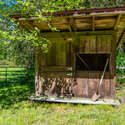 2215 Goss Ridge Road, Freeland, WA. Photo 70 of 86.