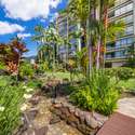 1525 Wilder Ave #502, Honolulu, HI