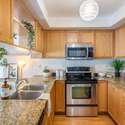 33 Florence Wyle Ln, Toronto, ON