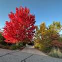 7578 Crestview Drive, Niwot, CO