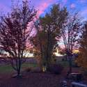 7578 Crestview Drive, Niwot, CO