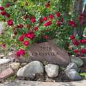 7578 Crestview Drive, Niwot, CO