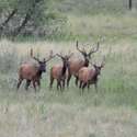 7578 Crestview Drive, Niwot, CO
