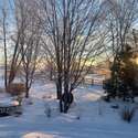 7578 Crestview Drive, Niwot, CO