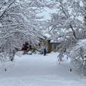 7578 Crestview Drive, Niwot, CO