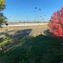 7578 Crestview Drive, Niwot, CO