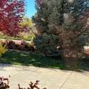 7578 Crestview Drive, Niwot, CO