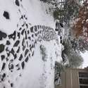 7578 Crestview Drive, Niwot, CO