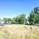 6957 Peppertree Drive, Niwot, CO