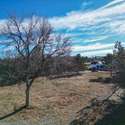 6848 Goldbranch Drive, Niwot, CO