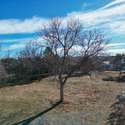 6848 Goldbranch Drive, Niwot, CO