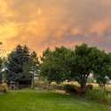 6700 Paiute Ave, Niwot, CO