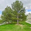 6899 Countryside Lane, 269, Niwot, CO