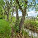 7760 Crestview Lane, Niwot, CO