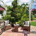 7999 Centrebridge, Niwot, CO