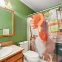 12941 S Princess Circle, Broomfield, CO