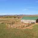 42450 Mcguire Lane, Hayden, CO