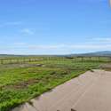 42450 Mcguire Lane, Hayden, CO