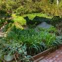 1365 Goucher St, Pacific Palisades, CA