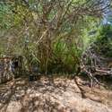1 Knoll Way, San Rafael, CA. Photo 38 of 45.