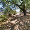 1 Knoll Way, San Rafael, CA. Photo 42 of 45.